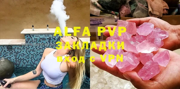 стаф Алзамай