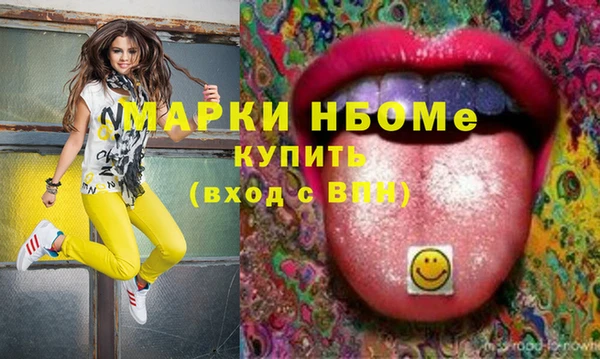 стаф Алзамай